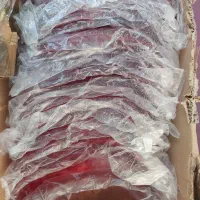 طلق خطر پراید