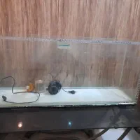 آکواریوم وموتورقوی وخیلی خوب است|ماهی|مشهد, آزادشهر|دیوار