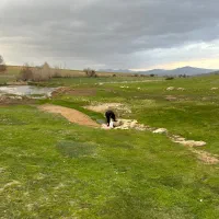 زمین کشاورزی