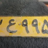 پلاک پیداشده