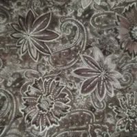 چادری نقره کوب مجلسی