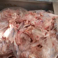 اسکلت مرغ بال مرغ مناسب غذای سگ|لوازم جانبی حیوانات|ماهدشت, |دیوار