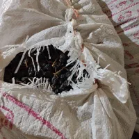 مویز سیاه دشمن زیاری|خوردنی و آشامیدنی|دشمن زیاری, |دیوار