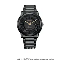 ست ساعت سیتیزن مردانه و زنانهEco-Drive