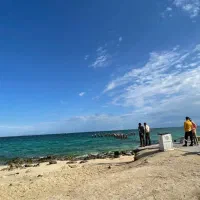 سیم کارت جزیره 09347695065و09347685065