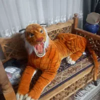 ببرپلیشی سایزبزرگ|اسباب‌‌بازی|قم, شهرک امام حسن|دیوار