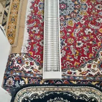 مهتابی‌دوقلو