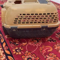 باکس سگ