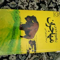 کتاب مهاجران زیگموند لاوین و آناکارنینا جلد سخت