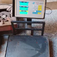 ترازو دیجیتال محک پرینتر دار|فروشگاه و مغازه|مشهد, هفت تیر (نه دره)|دیوار