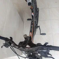 دوچرخه|دوچرخه، اسکیت، اسکوتر|رشت, نظری|دیوار