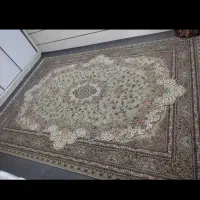 فرش 12متری شاهکارصفویه|فرش|شیراز, زرهی|دیوار