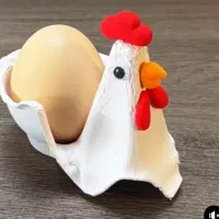 تخم مرغ نطفه دار