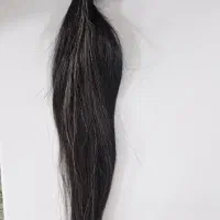 مو‌نچرال