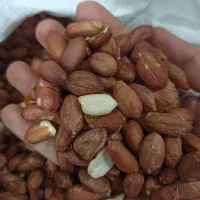 بادام زمینی تناژ تمیز مناسب صادرات کره گیری و فروش|خوردنی و آشامیدنی|تهران, آبشار|دیوار
