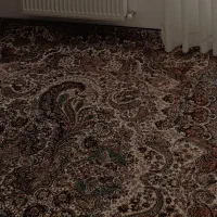 یه جفت فرش 9متری