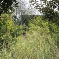 زمین باغی دهکده توشن (کوچه دهکده)