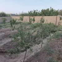 باغ