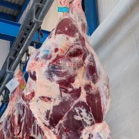 توزیع و عرضه گوشت گرم گوساله|خوردنی و آشامیدنی|شیراز, پشم شیشه|دیوار