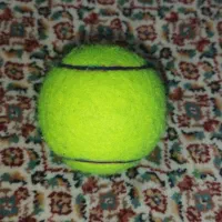 توپ تنیس درحد نو