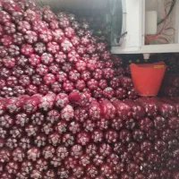 آب انار اشکفتو داراب