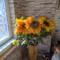 گل آفتابگردون|گل مصنوعی|کرمانشاه, |دیوار