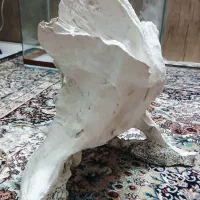 اکواریوم شیشه خم|ماهی|فردیس, فردیس|دیوار