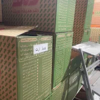 کلید پریز دلند