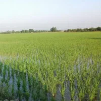 زمین-کشاورزی-با-قابلیت-تغییر-به-صنعتی