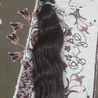 مو طبیعی ۲۵۰ گرم.    ۵۵ سانت