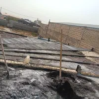 استا بنا سفت کار حرفهای و منصفانه حتما بخونید