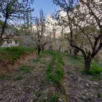 فروش-باغ-جاده-چالوس-معاوضه-با-واحد-آپارتمان