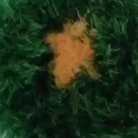 اسکاچ های بافتنی|لوازم نظافت|شاهین‌شهر, شهرک گلدیس|دیوار