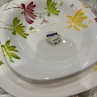 سرویس ۱۸ نفره لومینارک فرانسه کریزی فلاور