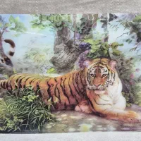 تابلو ۳بعدی بَبر