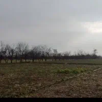 فروش-زمین-با-جواز-گلخانه