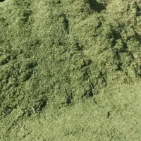 نیازمند یه تن یونجه کوبیده