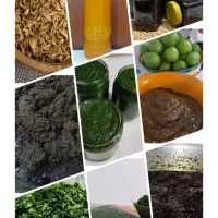 محصولات ارگانیک شمال