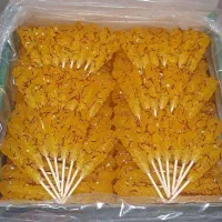 نیروی بسته بندی و نی زن تولیدی نبات (خانم)*