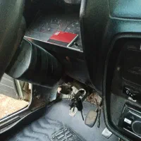 دوگانه شرکتی