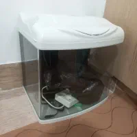 آکواریوم شرکتی