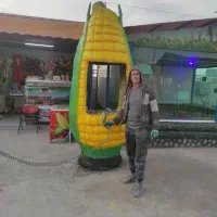 مجسمه سازی حرفه ای