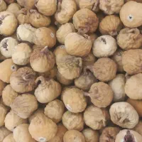 انجیر دیم گاز نخورده استهبان|خوردنی و آشامیدنی|قم, بلوار امین و ساحلی|دیوار