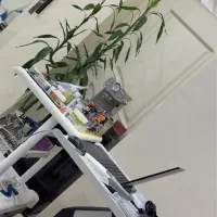 دستیار و منشی دندانپزشک