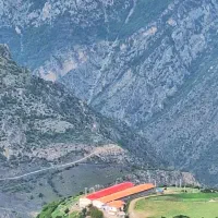 کارگر مرغداری مجرد و یا متاهل