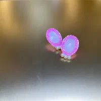 گوشواره اکسستوری