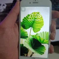 iPhone s6|موبایل|پیشوا, |دیوار