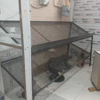 استند میوه فروشی یا نانوایی