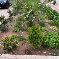 اجاره باغ ویلا|اجارهٔ کوتاه‌مدت ویلا و باغ|شیراز, شهرک بزین|دیوار