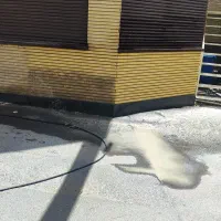 کفسابی سنگ سابی ساب زن نماشویی|خدمات نظافت|تهران, میرداماد|دیوار